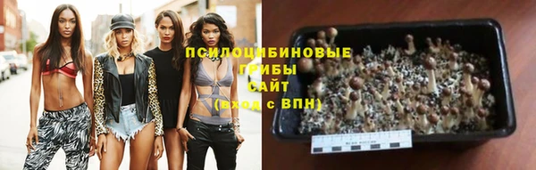 гашик Балахна