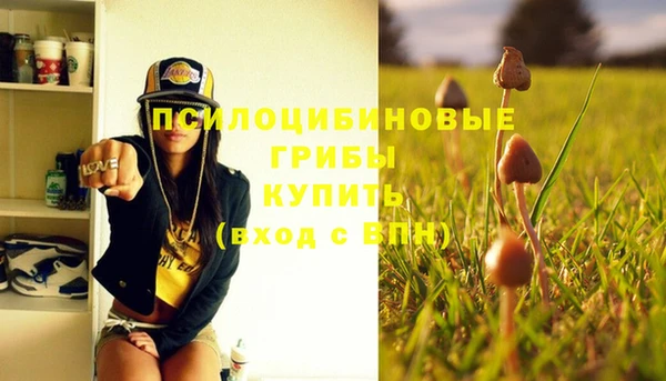 дмт Баксан
