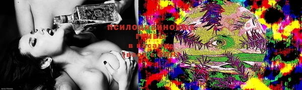 дмт Баксан