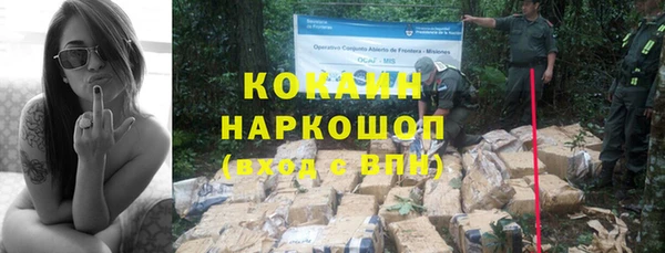 гашик Балахна